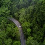 Aerial photo of an EV driving through a forest