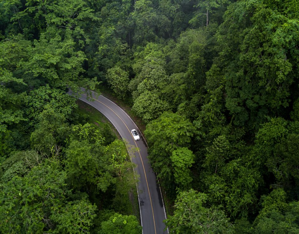 Aerial photo of an EV driving through a forest