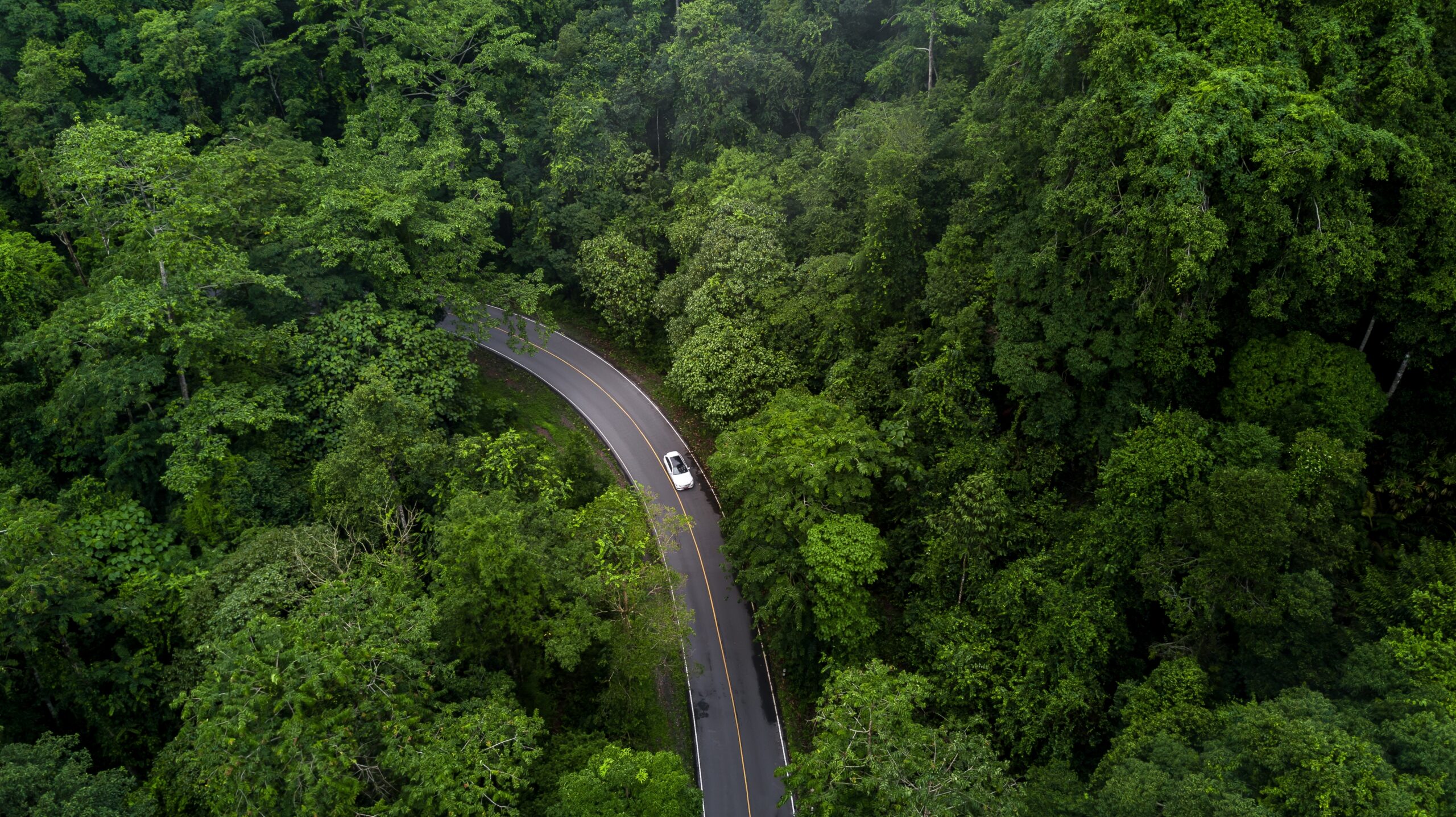 Aerial photo of an EV driving through a forest